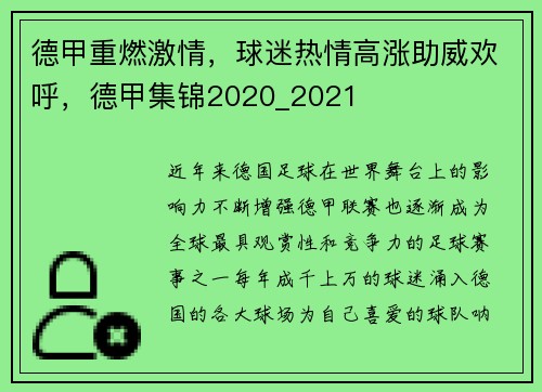 德甲重燃激情，球迷热情高涨助威欢呼，德甲集锦2020_2021